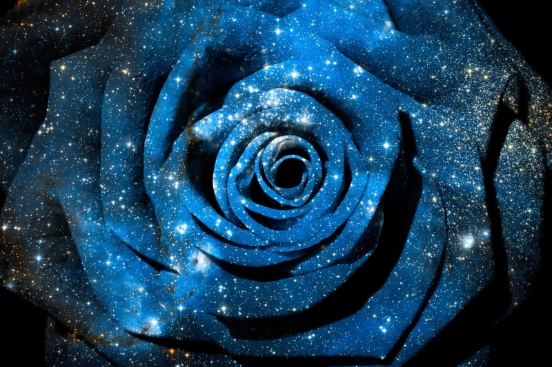 epic, big  bang, curves, ethereal, texture, digital  art, glow, sci-fi, nebula, elegant, space, color, flower, white, backgrounds, infinity, lights, dreamy
