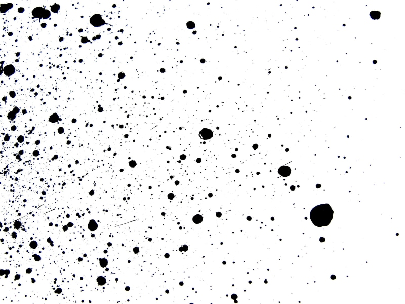 isolated, white background, 2K, blot, vector, drop, stain, splashing, white, full frame, black, paint, spray, spotted, mess, ink, textured, grungy, studio shot