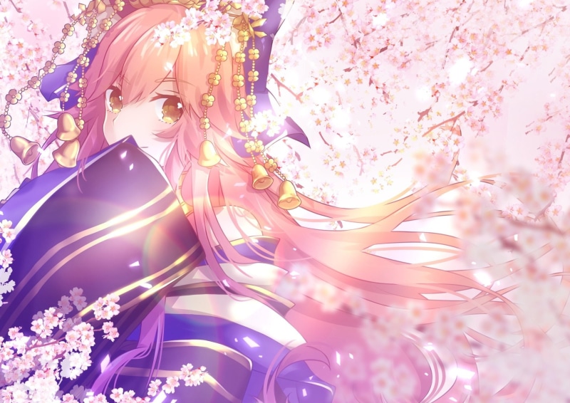 Fate Series, 1080P, Fate/Grand Order, Caster (Fate/Extra), Tamamo no Mae