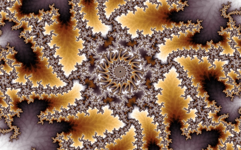 invertebrate, abstract, education, 2K, macro, animal, nature, no people, illness, animal themes, close-up, indoors, sea life, animals in the wild, Mandelbrot