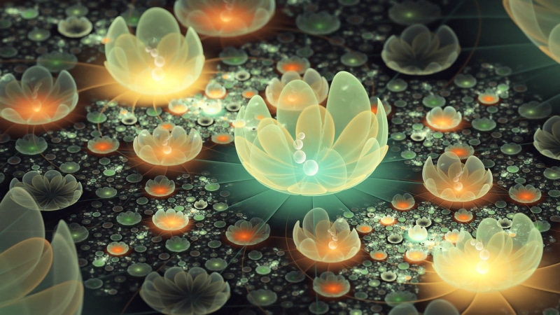 fire - natural phenomenon, outdoors, high angle view, fractal, beauty in nature, no people, lotus, close-up, 1080P, illuminated, celebration