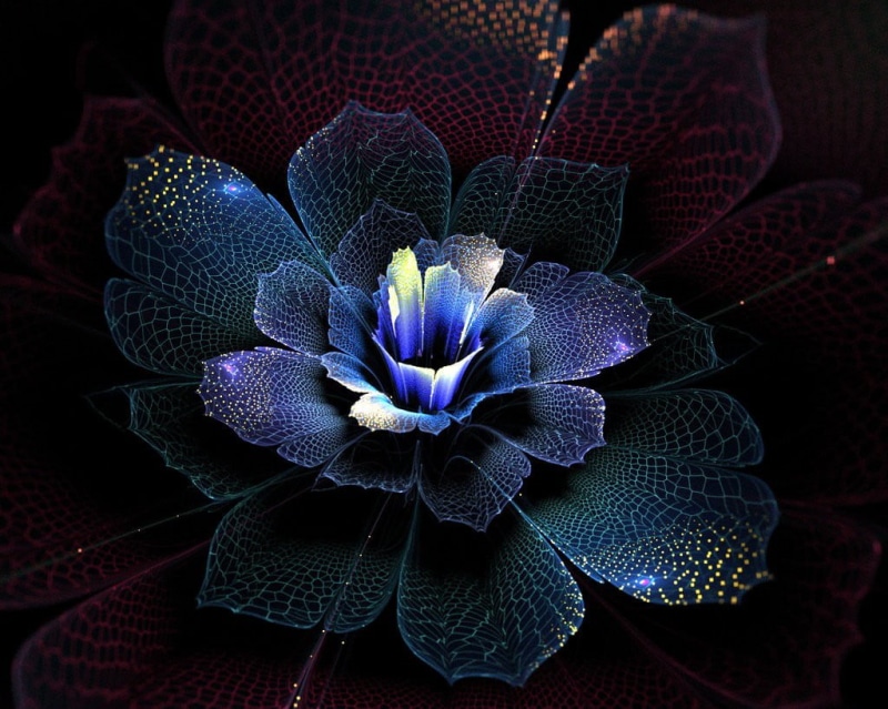 flower head, iris - plant, blue, fractal flowers, flower, petal, vulnerability, fractal, plant, pollen, illustration, abstract, plant part, 480P, purple