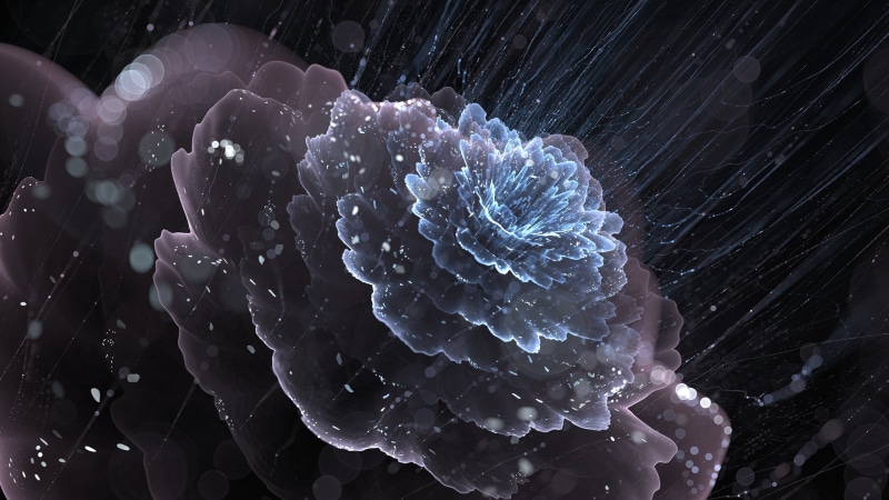 animal wildlife, undersea, abstract, fractal, digital art, nature, purple, underwater, flower, 2K, sea life, jellyfish, illustration, close-up, invertebrate
