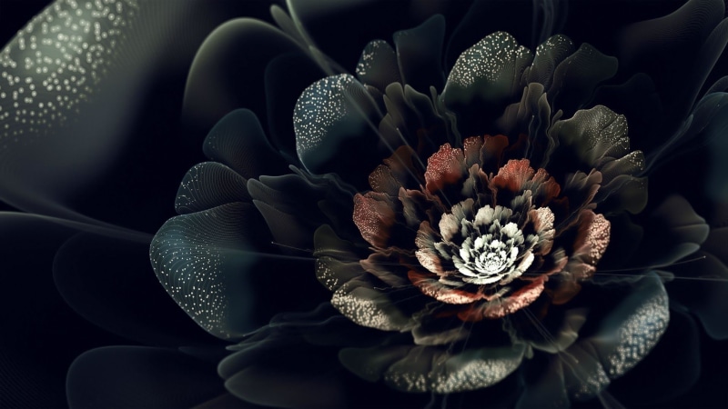 abstract, fractal, flowers, plants, digital art, fractal flowers, 1080P