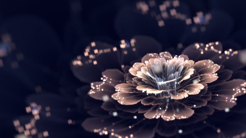 fragility, petal, fractal, vulnerability, selective focus, yellow, indoors, close-up, beauty in nature, no people, plant, fractal flowers, flower head