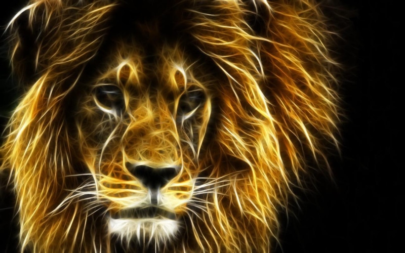 hd, 720P, lion, animals, fractal
