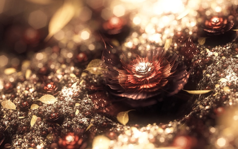close-up, christmas, outdoors, tree, selective focus, christmas ornament, christmas decoration, day, red, water, 1080P, celebration, fractal, no people
