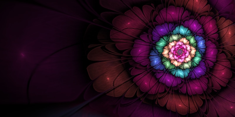 design, multi colored, red, creativity, indoors, lighting equipment, illuminated, shape, 4K, fractal apophysis mathematics golden ratio fibonacci sequence flowers digital art 3d fractal flowers