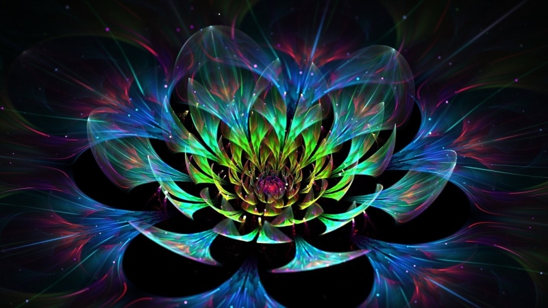 close-up, nature, full frame, flower head, abstract, fractal flowers, 1080P, digital art, colorful, inflorescence, flowering plant, multi colored, water