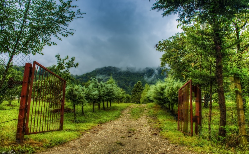 no people, green color, sky, Landscape, outdoors, environment, Nature, beauty in nature, land, gate, day, footpath, the way forward, cloud - sky, tree