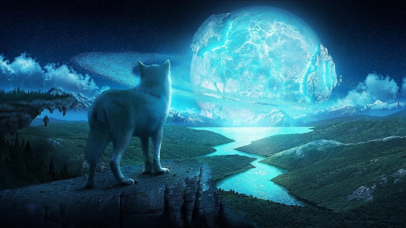 landscape, wolf, animal themes, sky, winter, night, digital composite, snow, one animal, imagination, water, polar bear, mammal, ice, animal wildlife, no people