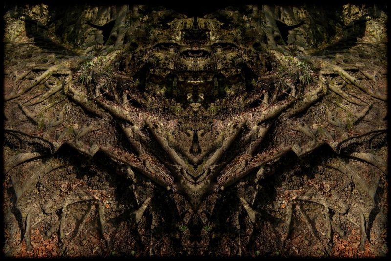 nature, plant, detail, textured, 720P, Satan, pattern, tree, auto post production filter, Satanic, close-up, full frame, Dark, transfer print, studio shot