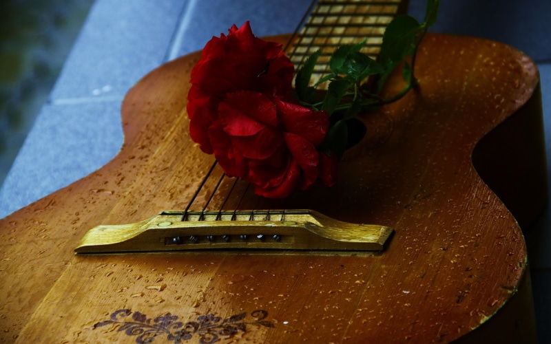 music, guitar, 2K, acoustic, rose, play, brown, red, 3d and abstract