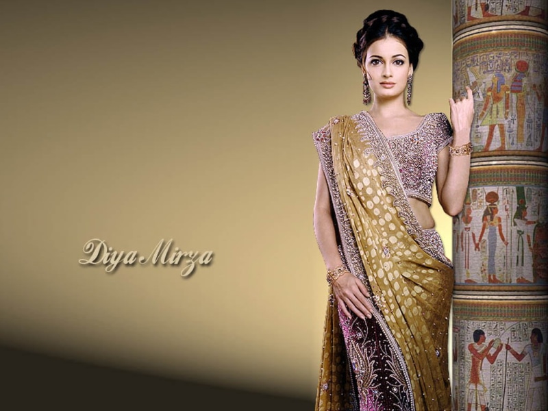 jewelry, traditional clothing, diya, one person, religion, colorfull, gold colored, beautiful woman, fashion, saree, front view, indoors, young adult, Female Celebrities