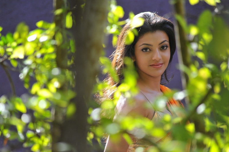 adult, looking at camera, portrait, leisure activity, day, plant, one person, young adult, beautiful woman, selective focus, beauty, women, Kajal Aggarwal