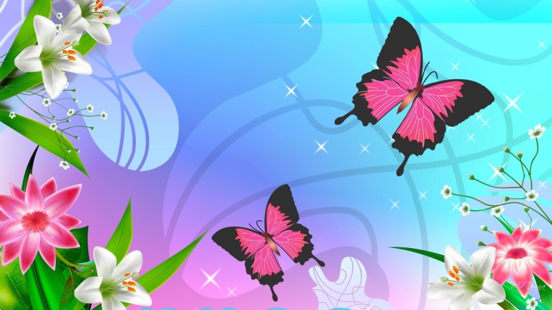 summer, black, pink, butterflies, illustration, 1080P, flowers, butterfly, adoring, two, firefox persona, pastels, 3d and abstract, widescreen