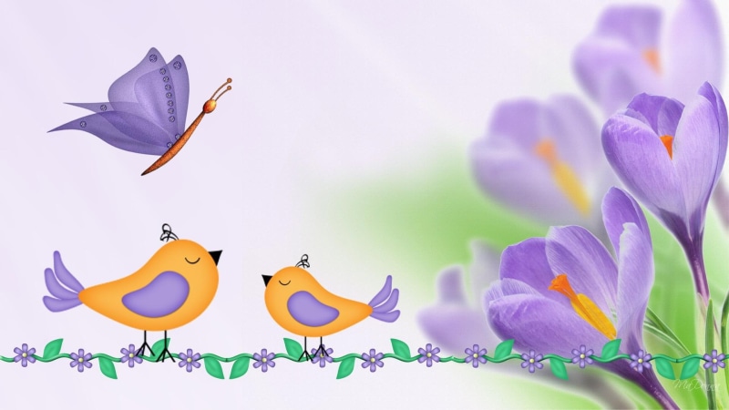 crocus, butterfly, purple, flowers, 1080P, spring, cute, 3d and abstract, lavender, birds, firefox persona