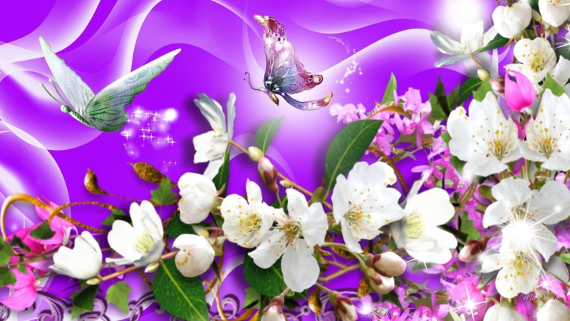 firefox persona, apple blossoms, stars, sparkle, flowers, fly, shine, butterflies, smoke, 1080P, spring, swirls