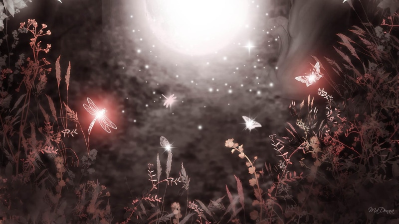 brilliant, plants, 1080P, stars, shining, butterflies, grasses, firefox persona, dragonflies, 3d and abstract, dragonfly, moon
