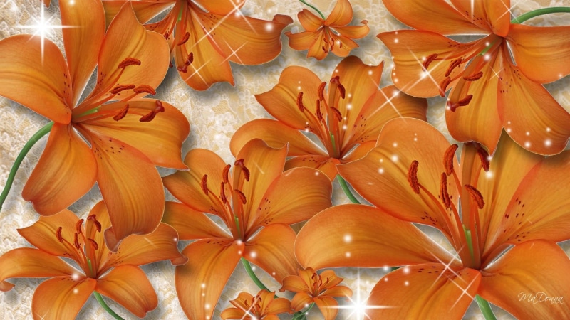 flowers, floral, lily, 3d and abstract, orange, 1080P, firefox persona, sparkles, tiger, summer, lilies