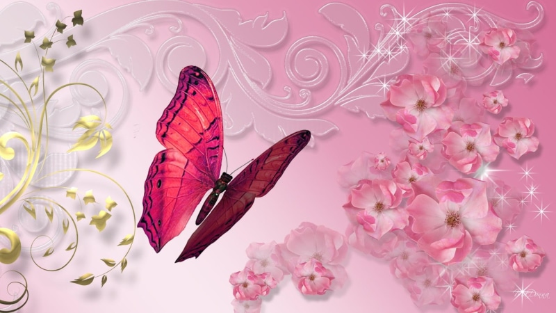 butterfly, oh, pink, flowers, 1080P, firefox persona, floral, artistic, summer, gold leaves, 3d and abstract