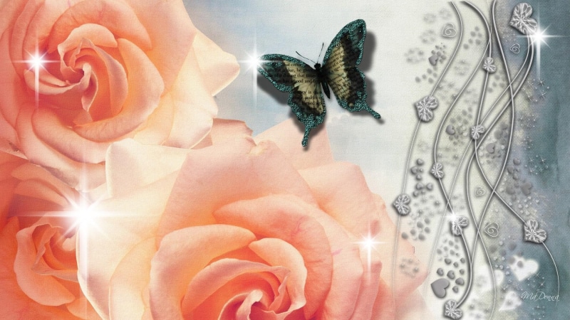 firefox persona, silver, roses, 3d and abstract, blue, butterfly, stars, flowers, hearts, sparkles, 1080P