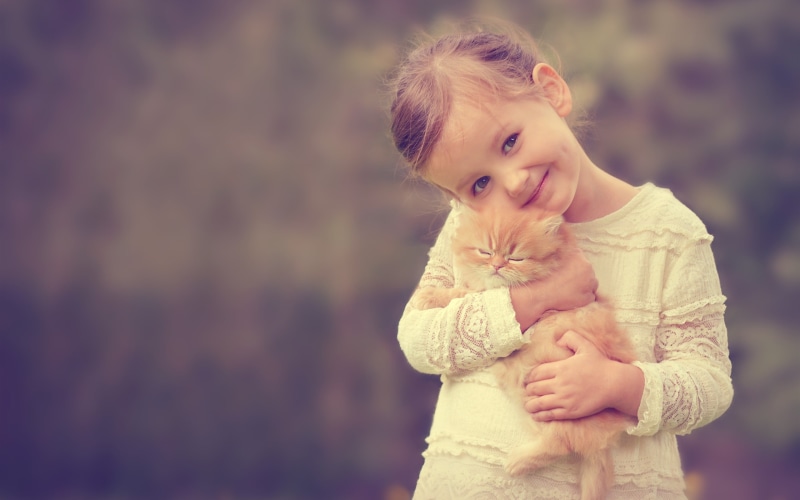 Cute, Girl, Cat, 2K, Holding, Smile