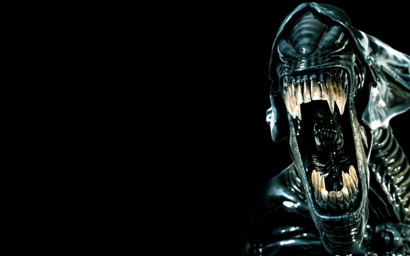 720P, alien, gray, movie, predator, xenomorph, dark
