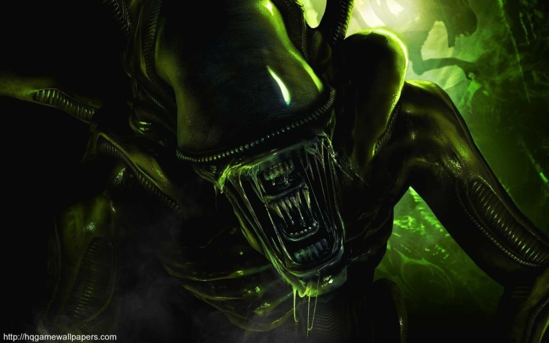 Xenomorph, government, young adult, alien, Alien (movie), underwater, indoors, women, real people, close-up, human body part, men, poster, adult, 720P
