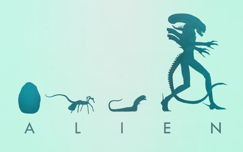 eggs, art and craft, 2K, communication, silhouette, representation, illustration, octopus, movies, nature, Alien (movie), creature, animal skeleton, no people