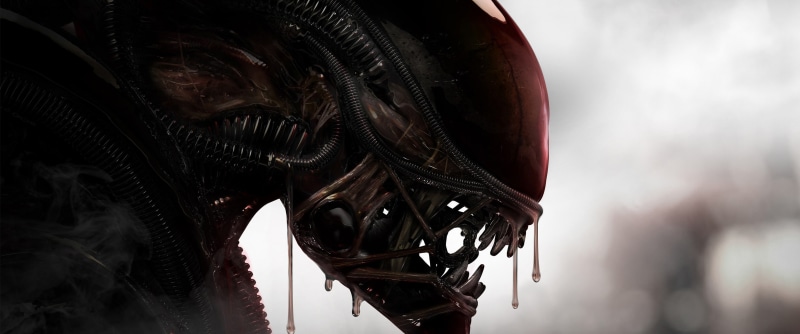 focus on foreground, no people, metal, movies, low angle view, day, Xenomorph, outdoors, hanging, equipment, nature, technology, black color, cable, Alien (movie)