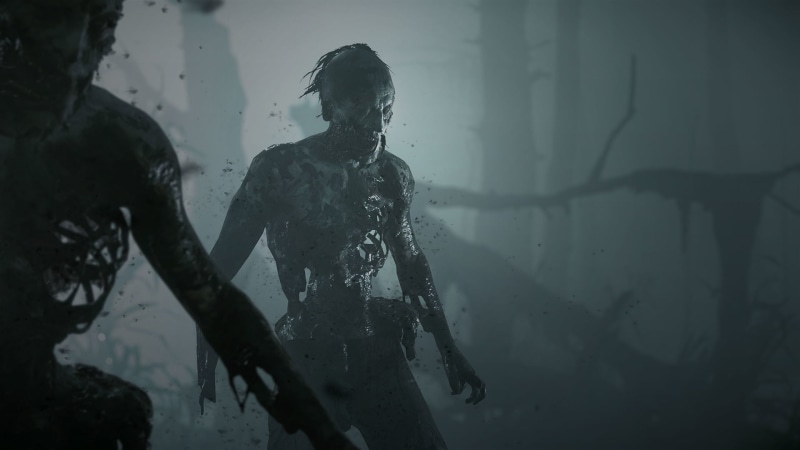 1080P, Hunt Showdown, Video Game