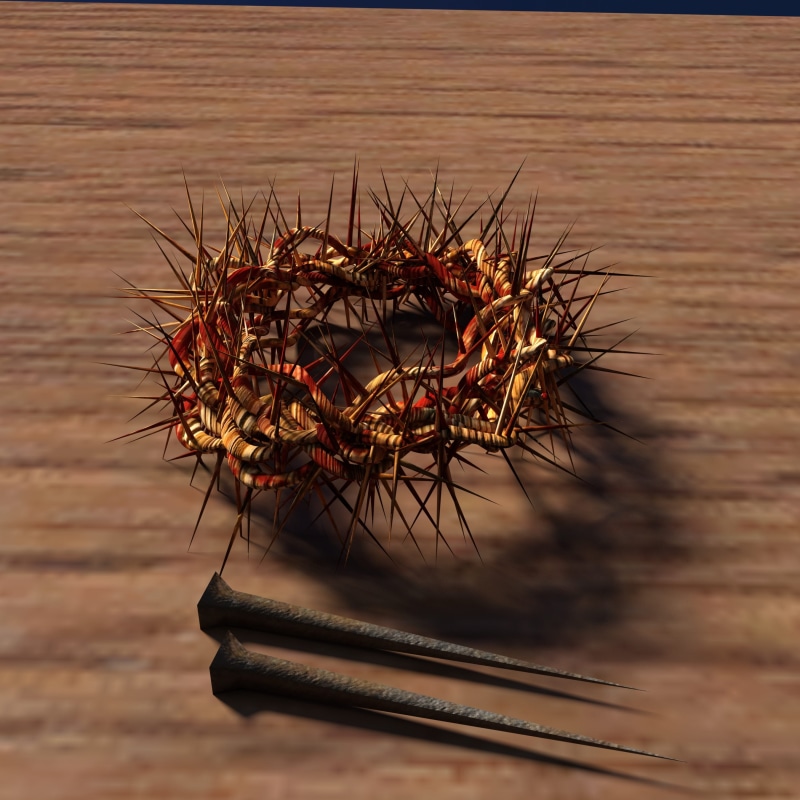 outdoors, day, one animal, crown of thorns, arthropod, water, nail, insect, high angle view, animals in the wild, jesus, close-up, poisonous, wood, animal