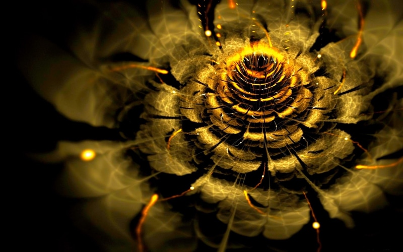 fractal, animal wildlife, growth, geometric shape, animal, selective focus, abstract, pattern, spider web, flower, circle, plant, focus on foreground, no people