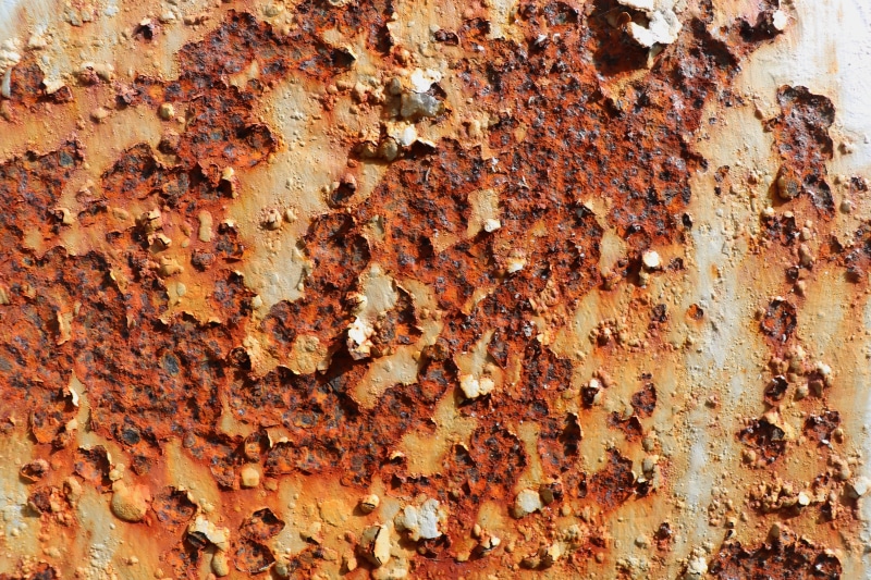 large group of animals, invertebrate, animal wildlife, brown, animal themes, group of animals, nature, close-up, rusting, animal, bee, pattern, beauty in nature