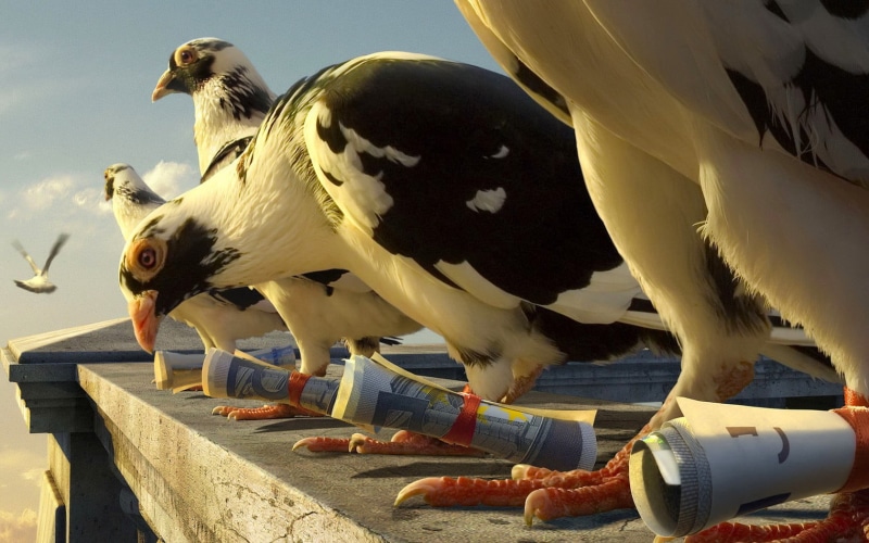 nature, animals in the wild, rooster, feather, black, pigeons, birds, flying, beak, food, figurine, day, seagull, bird, animal, money, animal themes, eating