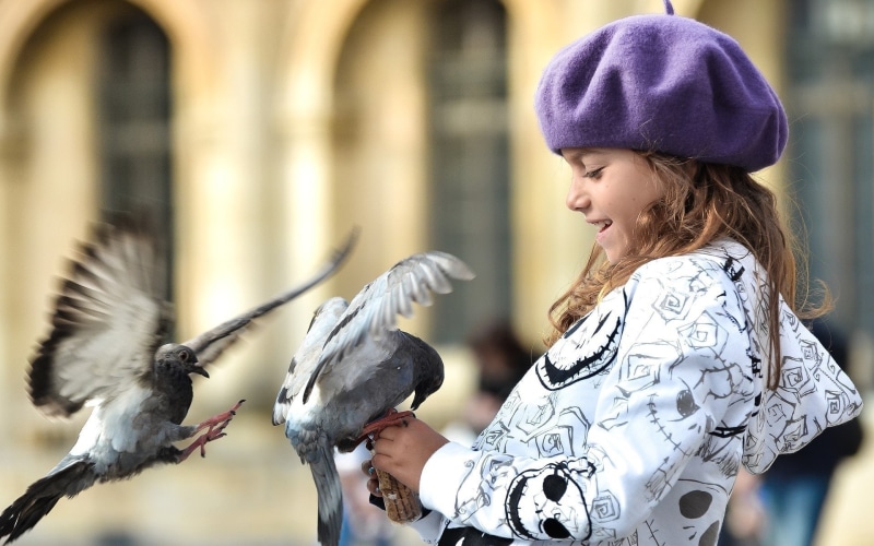 Smile, 1080P, Little, Pigeon, Girl