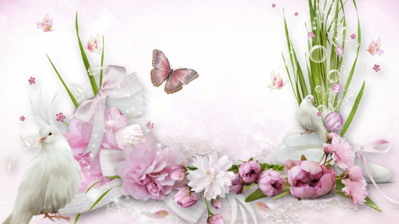 soft, lace firefox persona, birds, summer, 3d and, flowers, bows, peonies, ribbons, doves, prejudise, 1080P, grass, pink