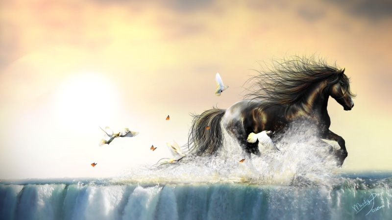 dove, nature, horse, day, sea, one animal, animal, animals, insect, splashing, no people, mammal, waterfall, bird, vertebrate, animals in the wild, animal wildlife