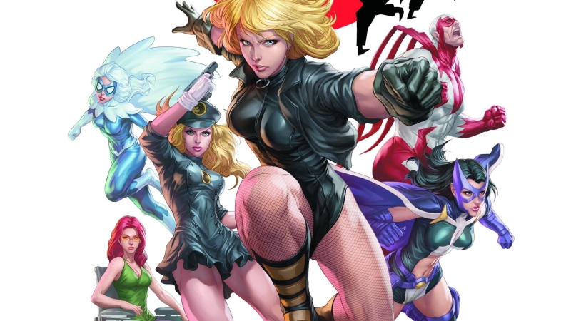 Mask, The fishnets, Zinda Blake, Black Canary, Lady Blackhawk, Lady Black Hawk, Heroes, Barbara Gordon, Artist, Hawk, Huntress, Birds Of Prey, Oracle, Helena Bertinelli