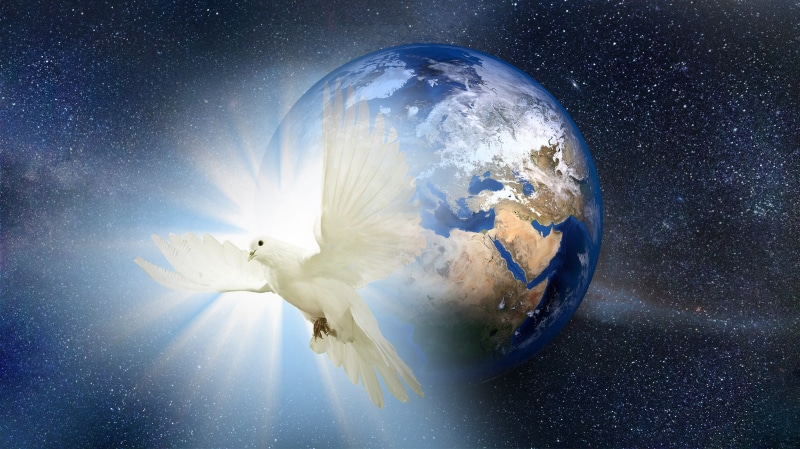 sky, icon, animal, hope, religion, universe, no people, animals in the wild, astronomy, nature, flight, planet - space, world, space, fly, leaf, dove, 5K