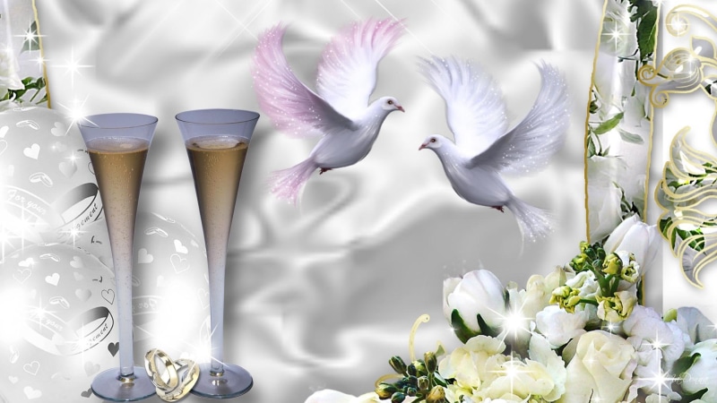 white satin, dove, wedding rings, roses, 1080P, flowers, celebration, birds, bubbly, champagne, love, white, firefox persona