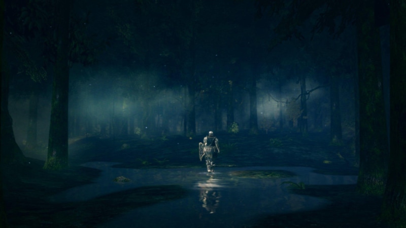 elite knight, knight, games, forest, video games, darkroot garden, 1080P, darkroot, dark, knight armor, garden, souls, dark souls