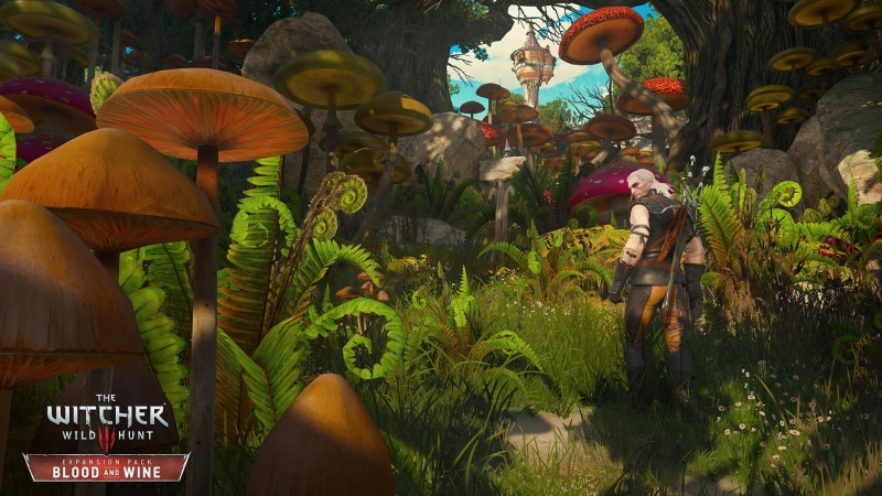 The Witcher, video games, women, real people, architecture, DLC, blood and wine, people, growth, Geralt of Rivia, built structure, men, plant, green color