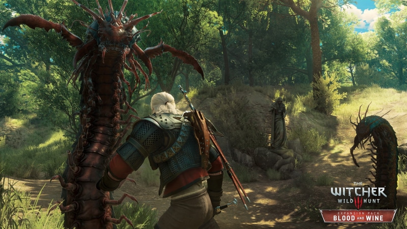 one person, forest, land, water, Geralt of Rivia, holding, plant, animal wildlife, growth, nature, blood and wine, weapon, outdoors, rear view, video games