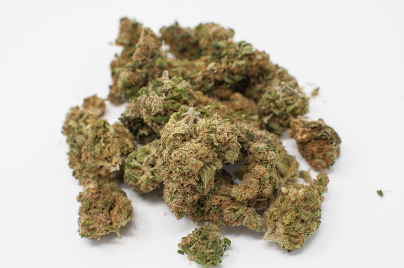 close-up, cannabis, alternative medicine, food and drink, narcotic, cannabis plant, herbal, marijuana - herbal cannabis, medical cannabis, grass, food