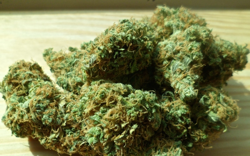 still life, hashish, plant, smoke, medical cannabis, flower, herb, herbal, ganja, food and drink, indoors, buds, cannabis, medicinal, 4K, alternative medicine