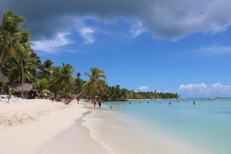 vacations, palm tree, sea, palm trees, dope, sky, holiday, dominican republic, trip, brown, tropical climate, tree, land, saona island, turquoise, hay