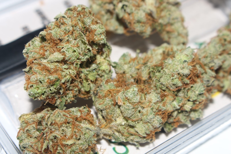 focus on foreground, 420, recreational drug, grass, herbal medicine, food and drink, medical marijuana, kush, stash, indoors, close-up, weed, medicine