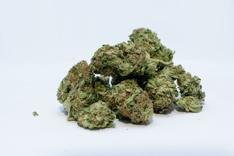 pot, ganja, cannabis plant, indoors, marijuana, single object, thc, close-up, alternative medicine, medical, food, studio shot, narcotic, cannabis, dope
